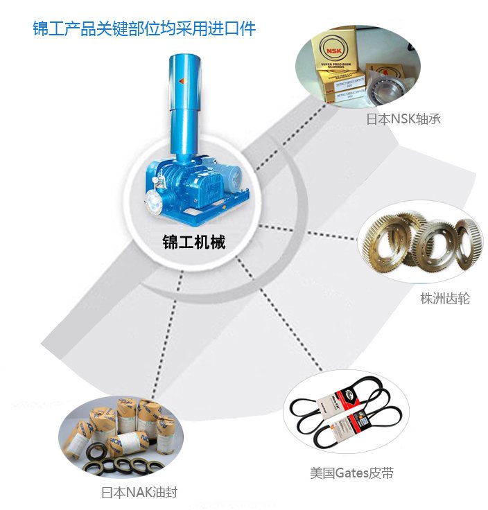 MJ系列密集型罗茨风机 
