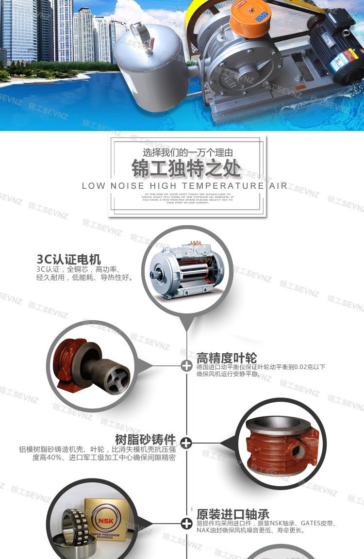 回转式鼓风机