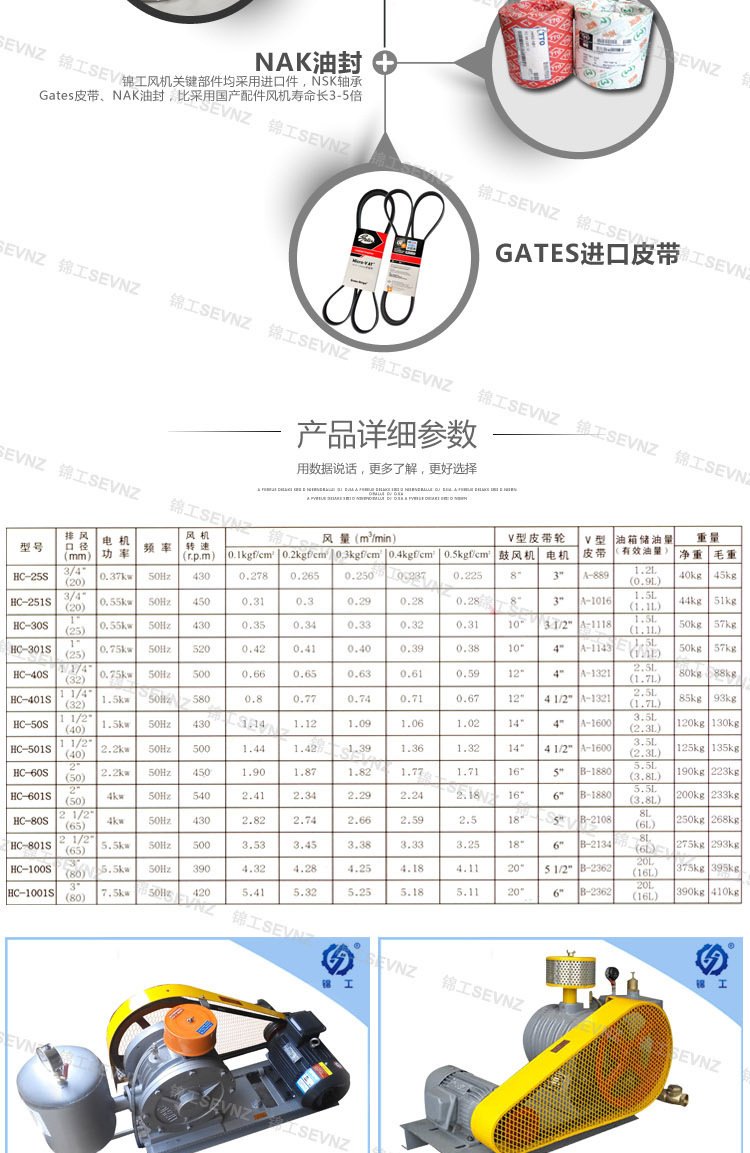 回转式鼓风机